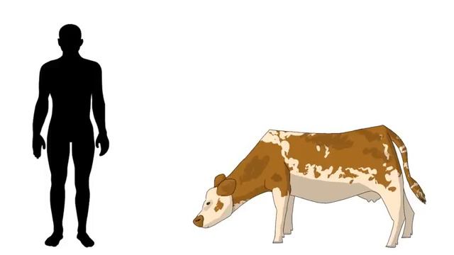 A WORLD WITH ONLY COWS? - Project Apollo Ep. 1 смотреть онлайн