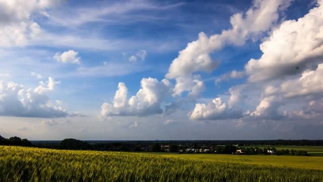 Книга "Творение". Глава 25. смотреть онлайн