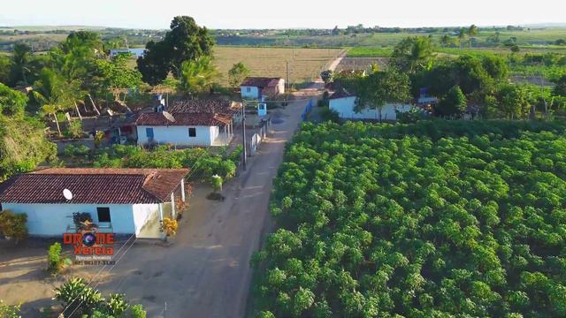COM A FAMÍLIA, CHÃ DO FORJO, ENROSQUEI O DRONE NOS GALHOS 😱, TAQUARANA #mini3 #viral #dji #drone смотреть онлайн