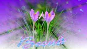 Футаж. Весна 27