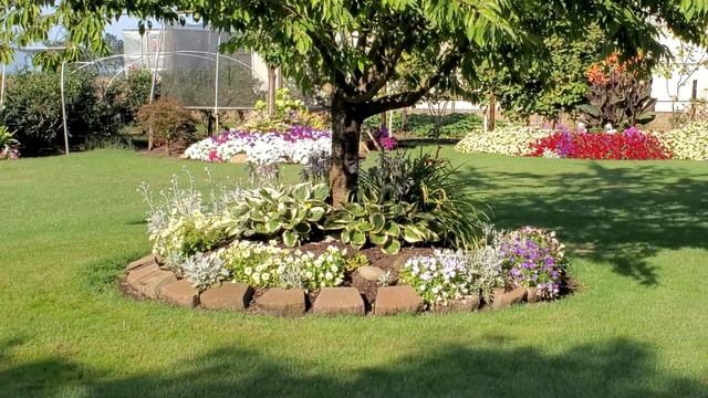 Снижают ли азот опилки из древесной коры? смотреть онлайн