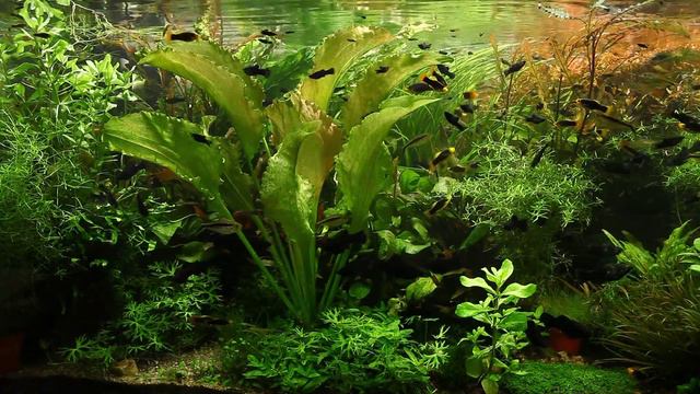 MVI 7837 смотреть онлайн