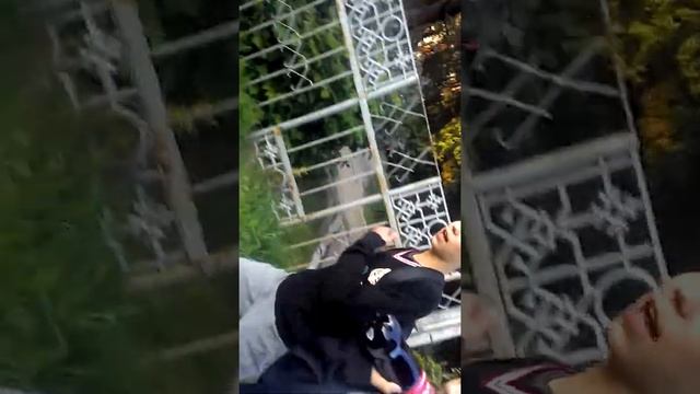 Прогулка по Новочебоксарску №1 Кунг фу Сава