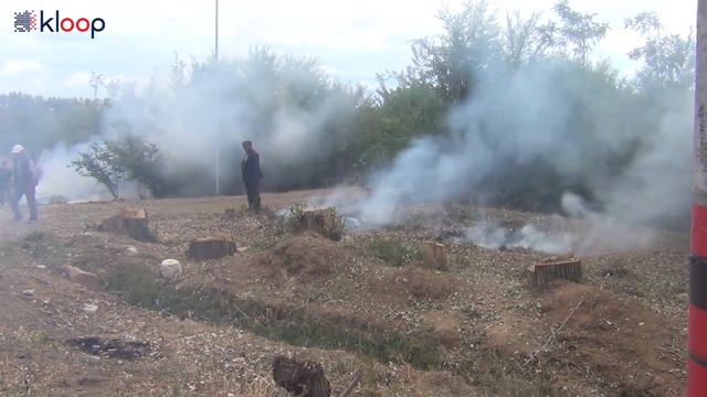 Аллею Раппопорта срубили ради Игр Кочевников смотреть онлайн