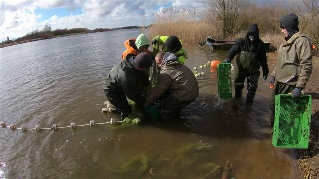 VLOG: Корюшка. Профессиональный лов неводом. Март 2020. река " Матросовка". смотреть онлайн