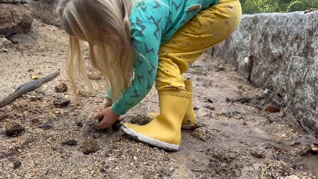 #00 IS THIS THE END???  —  RURAL HOUSE RENOVATION - OUR STONE HOUSE IN PORTUGAL - BUILDING OFF GRID