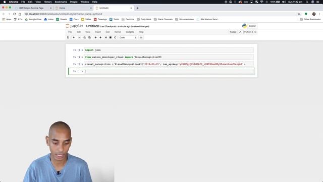 General Image Classification - Build An Image Classifier with IBM Watson - Part 5 смотреть онлайн