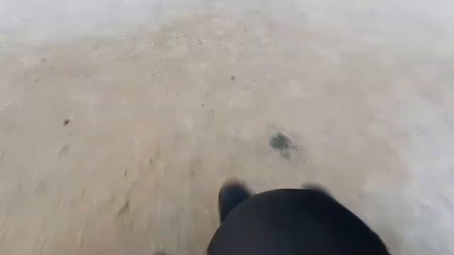 Парк Дубки смотреть онлайн