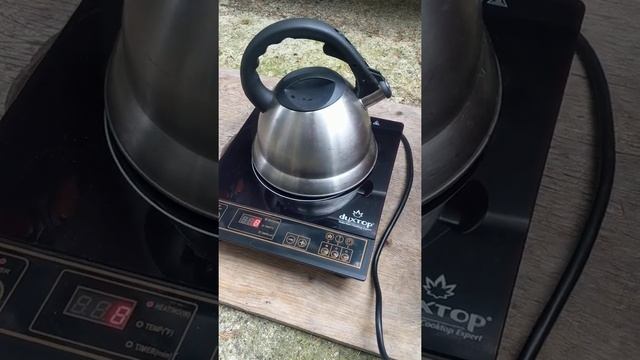 a-ipower Sua 2000ia generator test with induction cooktop смотреть онлайн