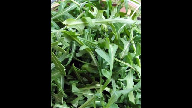 Руккола смотреть онлайн