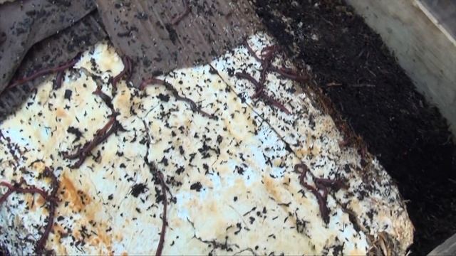 096А→С.1➤ЗАПУСКАЕМ В САД ОГОРОД ЭКСПЕРИМЕНТ №2 БЛОК ВЕШЕНОК смотреть онлайн