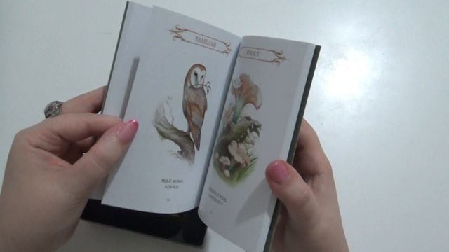 "A Compendium Of Witches Oracle" di Nataša Ilinčić смотреть онлайн