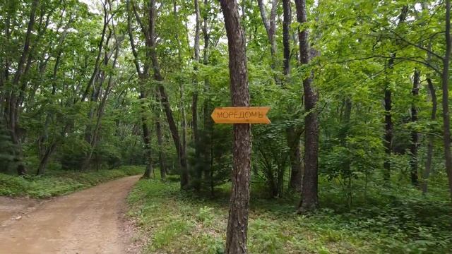 Загородный клуб «СКАСКИ», бухта Муравьиная, Артём, путешествия по Приморскому краю, съёмка с дрона. смотреть онлайн
