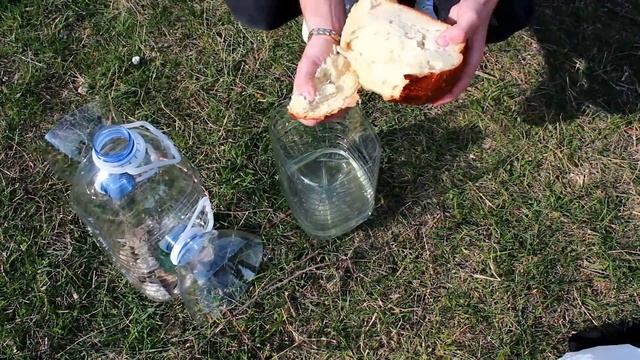 Как сделать ловушку за 300 секунд/ How to make a trap in 300 seconds смотреть онлайн