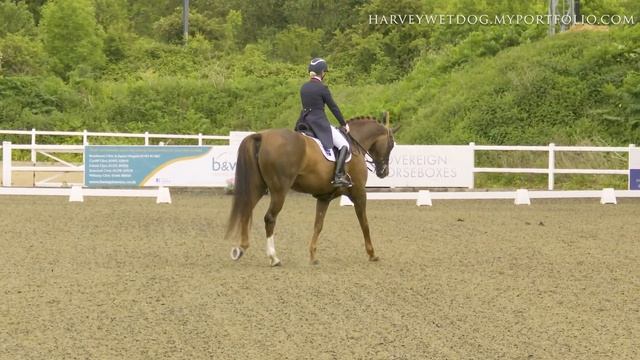 Lucinda Elliot and Hawtins Bellegra PSG Gold; Prestige Equestrian BD Winter Regional 2021 смотреть онлайн