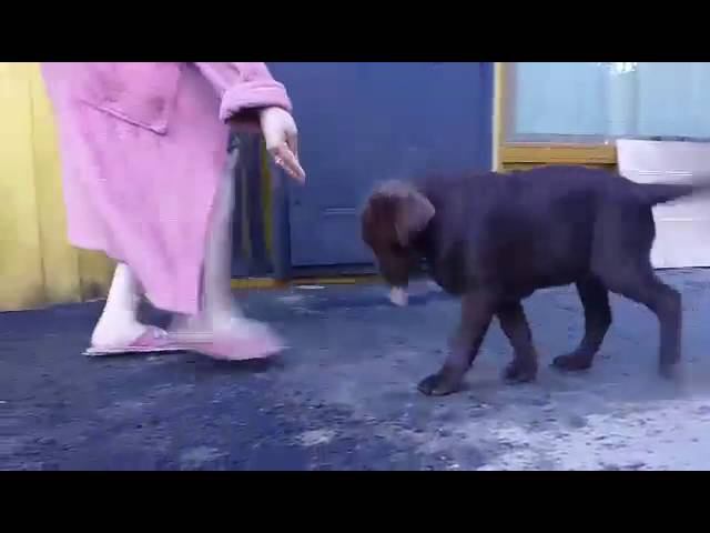 video 1467214245 смотреть онлайн