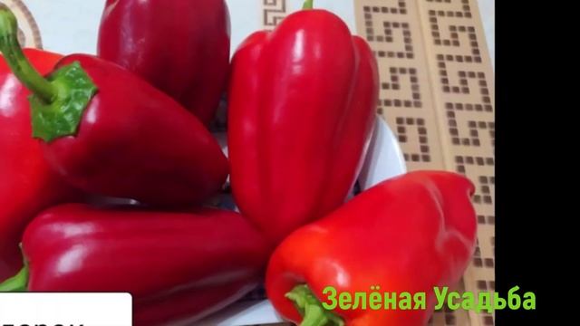 Каталог сладких и острых перцев на 2022год. смотреть онлайн