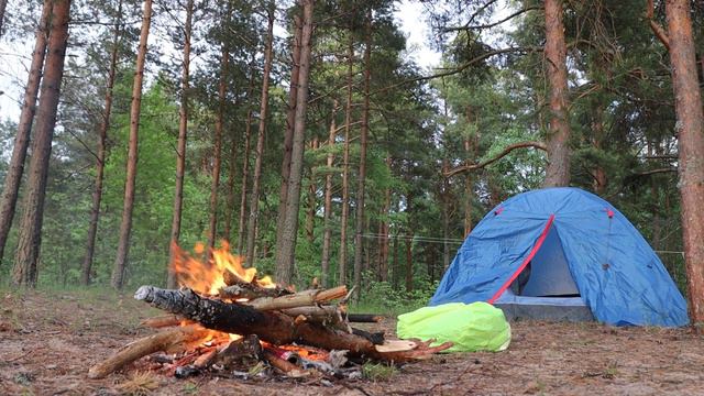 Костер на берегу Ладоги смотреть онлайн