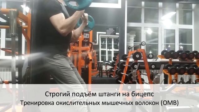 Строгий подъём штанги на бицепс ОМВ. Техника выполнения упражнений смотреть онлайн