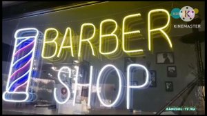 Трейлер мультсериала Дачнюе Тудэ