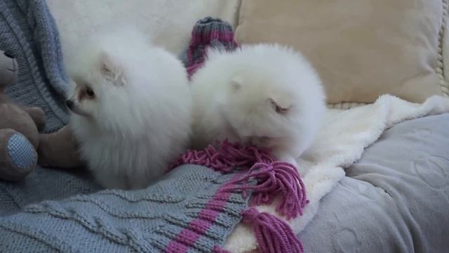 20151115154438 смотреть онлайн