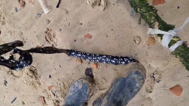 The HOLY GRAIL washed up at my feet! Mudlarking Londons foreshore смотреть онлайн