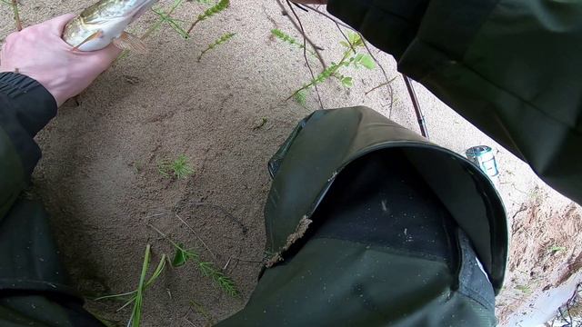 Июнь 2024 часть 2