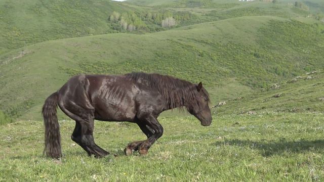 Забил на все смотреть онлайн