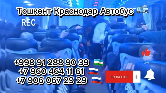 #Uzbekiston#krasnodar#avtobus#+998912889039#+79604641161#+79060672929#Toshkent#Krasnodar#Avtobus# смотреть онлайн