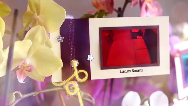 Красивое приглашение на свидание! Для ваших любимых. №3 смотреть онлайн