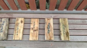 Почему гниет древесина в бане, чем ее обработать? Эксперимент, результат шокирует!