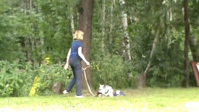 ВЕО Маренго Сан-Шайн Мэгги - ЗКС Охрана вещи 1508 2020 смотреть онлайн