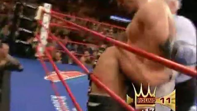 Gołota vs Mollo highlights смотреть онлайн