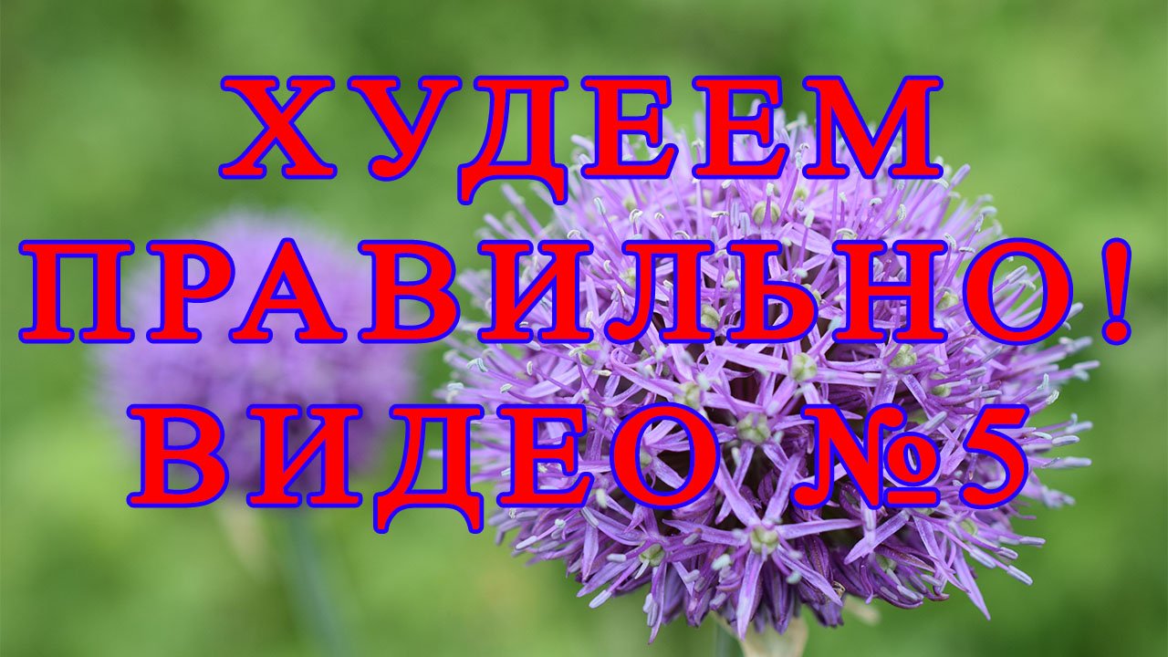 Похудение ролик 5 Эксперимент