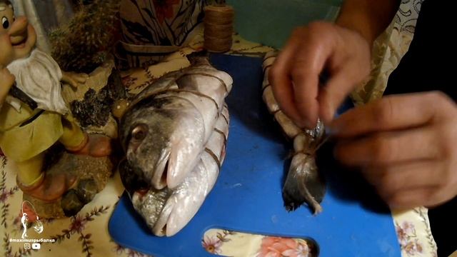 Пушистые Приключения