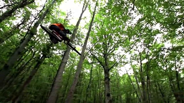 Автомобильный бокс Thule Motion 800 Adventure Team Edition смотреть онлайн