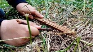 Как разжечь костёр в лесу с помощью палок.