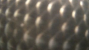 ГДЕ ЗИМУЕТ РЫБА? КАК КАРАСЬ ВЕДЕТ СЕБЯ ЗИМОЙ. ПОДВОДНАЯ СЪЕМКА ПОДО ЛЬДОМ