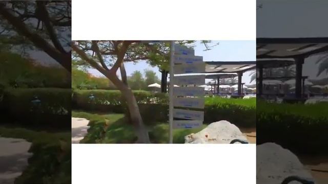 Miramar Al Aqah Beach Resort 5* (ОАЭ, Фуджейра) смотреть онлайн