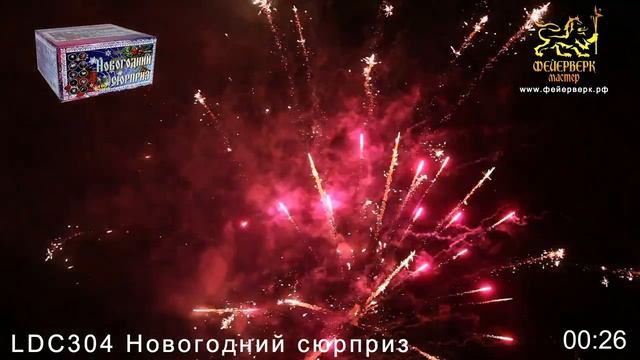 LDC304 Новогодний сюрприз смотреть онлайн