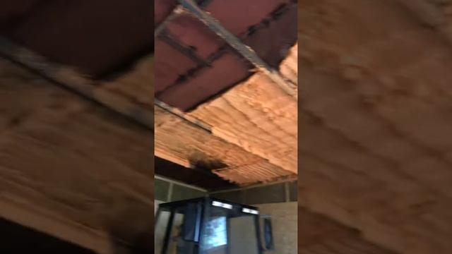 Вся правда о (Полинор) напыляемый утеплитель смотреть онлайн