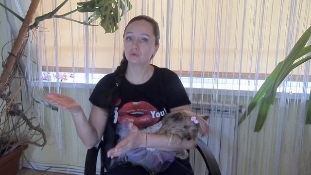 ПОЧЕМУ СОБАКА ЕЗДИТ НА ПОПЕ? Причины поездок и способы устранения проблемы. Наш личный опыт! смотреть онлайн