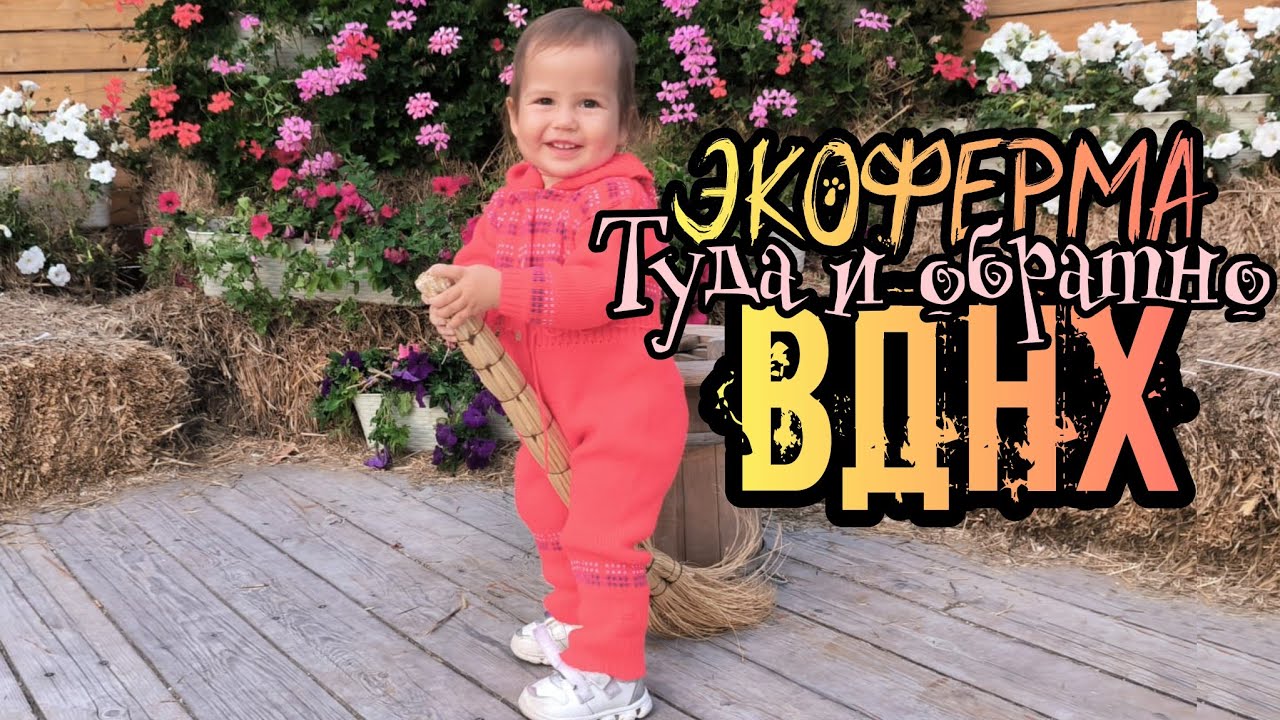 Экоферма ВДНХ | Детские площадки ВДНХ