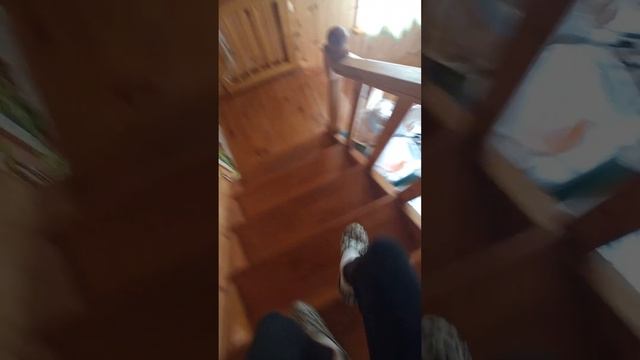 Наше с Вилкой утро на даче❤️ |Собака Вилка. смотреть онлайн