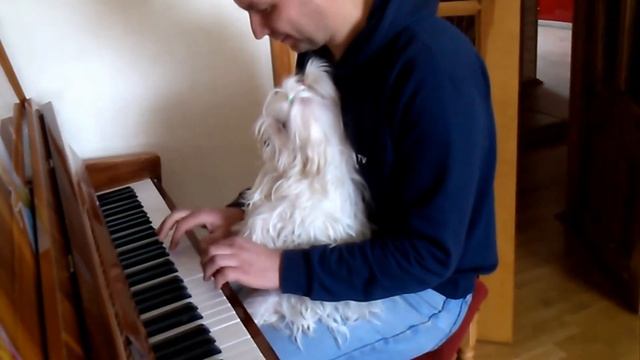 Собачий вальс | Игра в четыре руко-лапы смотреть онлайн