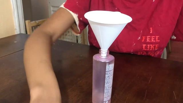 DIY MAC Rose Fix Plus Makeup Setting Spray | TEHJA