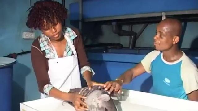 HYDROFISH Bingerville Côte d'Ivoire смотреть онлайн