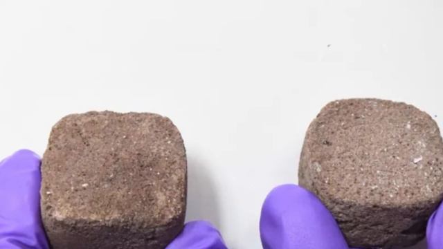 Building a home on Mars … with bacteria? смотреть онлайн