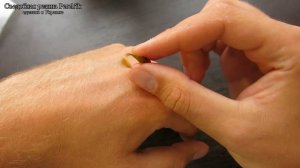 Силикон Perch'ik - недорогие уловистые приманки, обзор и опыт ловли