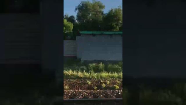 Электричка Москва казанская - Малаховка смотреть онлайн